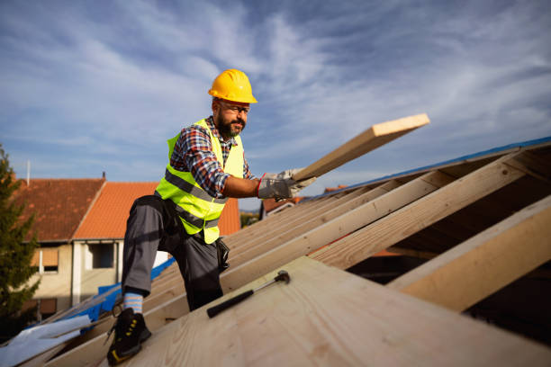 Best Roof Insulation Installation  in Lanster, CA